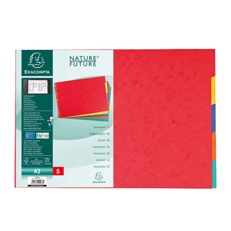 Separadores cartulina A3 5 pestañas